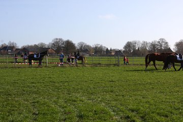 Bild 1 - WBO-Turnier am 9.4.11